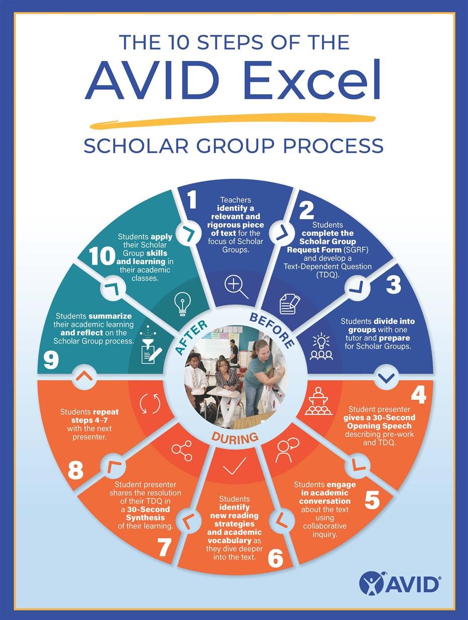 AVID Scholar Groups