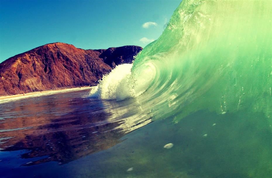 Surfing Paradise 