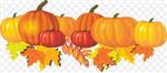 pumpkins 