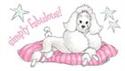 poodle 