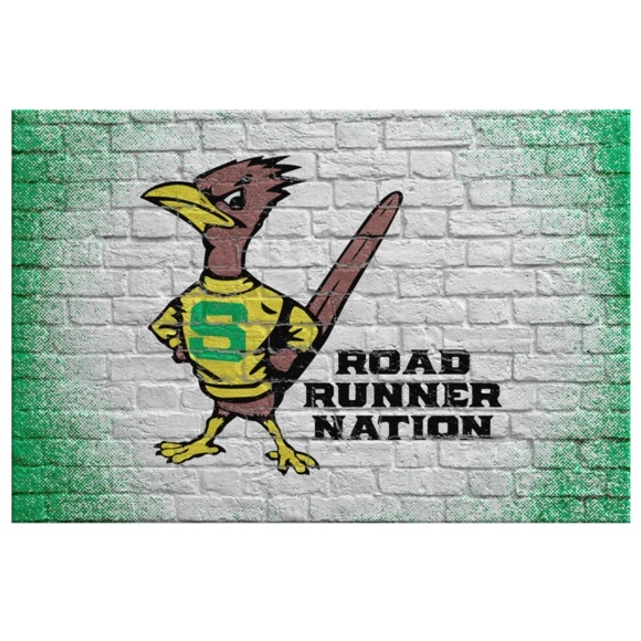 go roadrunner nation! go roadrunner nation!
