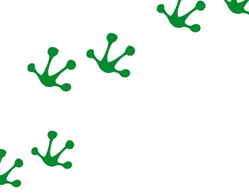 frogtpring frogtpring