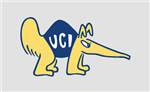 anteater 