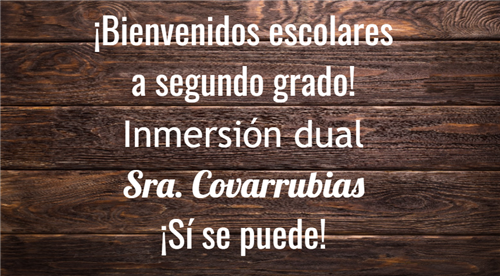 ¡Bienvenidos! 