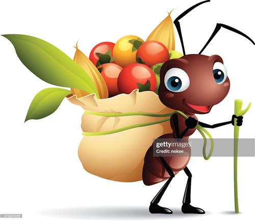 Tiny ant working with a smile pto